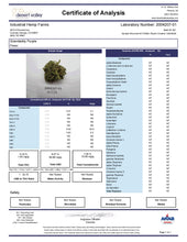 Load image into Gallery viewer, Granddaddy Purple