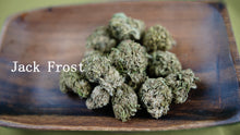 Load image into Gallery viewer, Jack Frost
